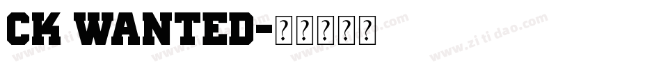 CK Wanted字体转换
